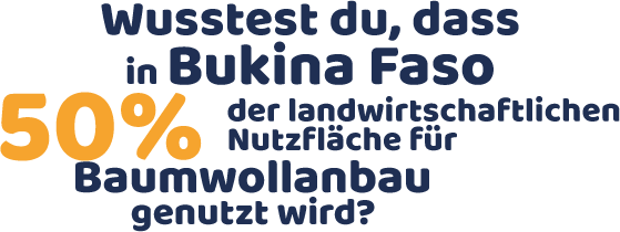 Wusstest du, dass in Bukina Faso 50% der landwirtschaftlichen Nutzfläche für Baumwollanbau genutzt wird? 