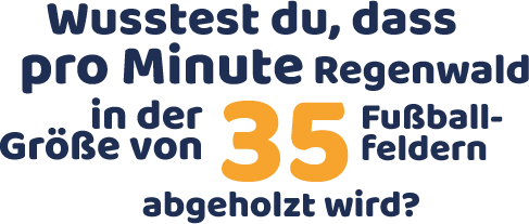 Wusstest du, dass pro Minute Regenwald in der Größe von 35 Fußballfeldern abgeholzt wird?